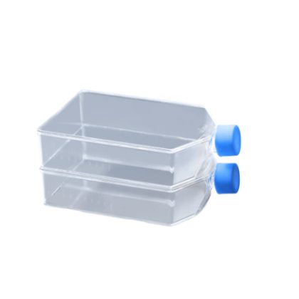 Cell Culture Flask