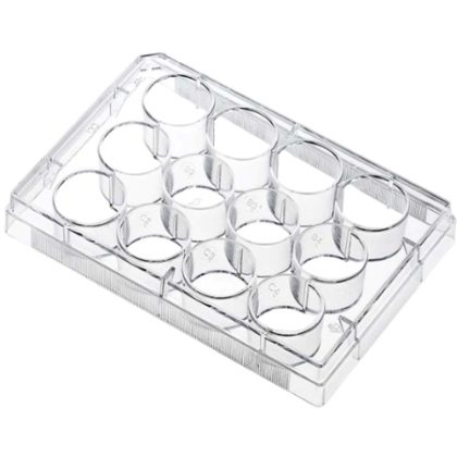 Cell and Tissue Culture Products