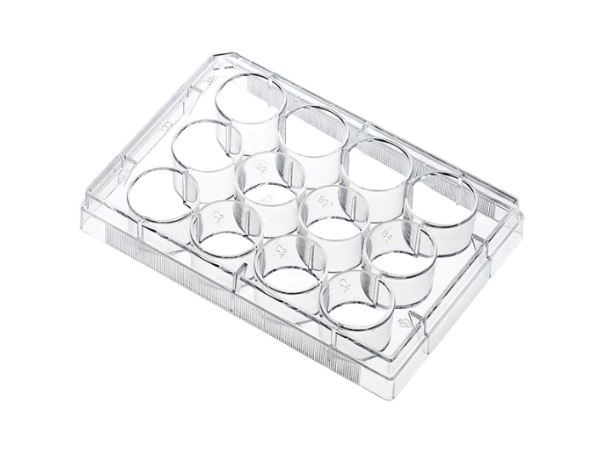 Cell and Tissue Culture Products