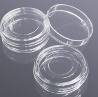 Glass Bottom Dishes
