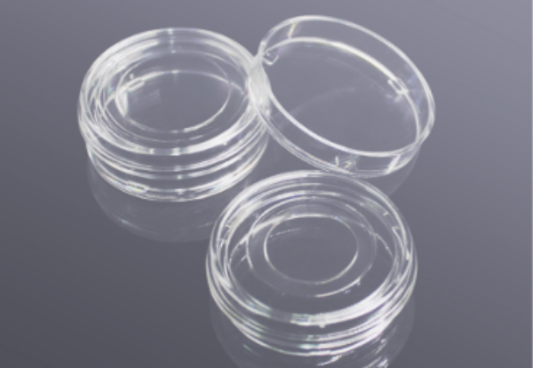 Glass Bottom Dishes