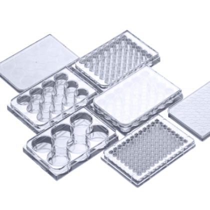Multi-well Cell Culture Plates