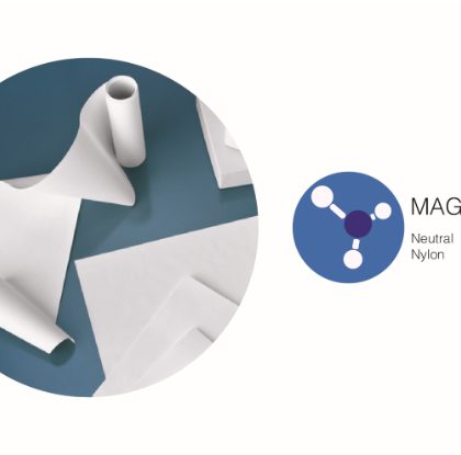 Neutral Nylon 66 Membrane