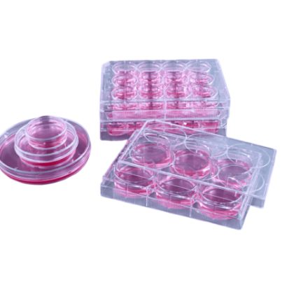 Poly-D-Lysine-coated Products
