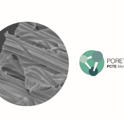 Polycarbonate Track Etched (PCTE) Membrane