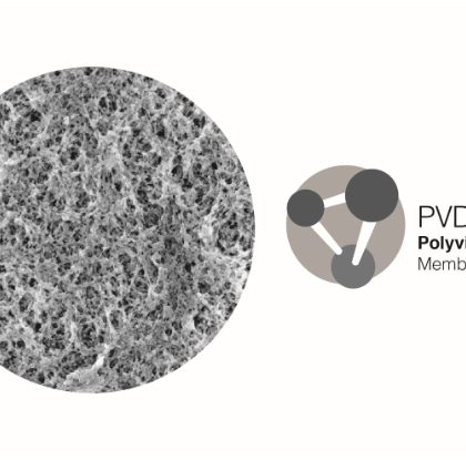 Polyvinylidene Fluoride (PVDF) Membrane
