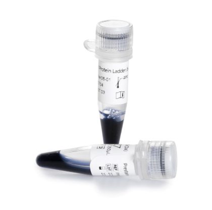 Prestained Protein Ladder