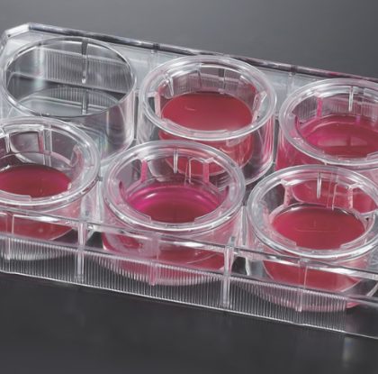 Tissue Culture Plate Inserts