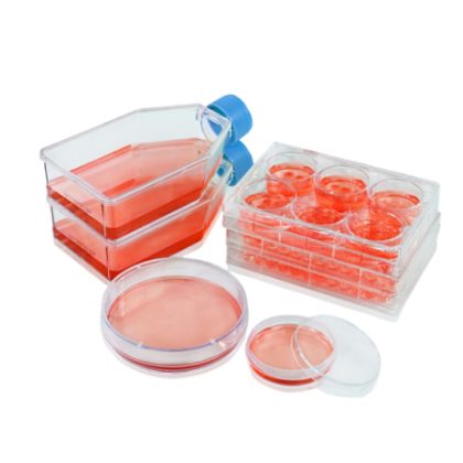 Ultra-low Adsorption Surface