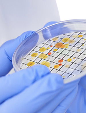 Microbiology