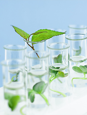 PFAS Free Products